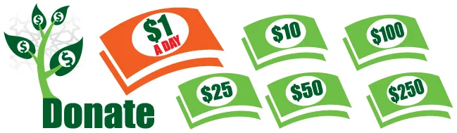 Donation options graphic with various amounts